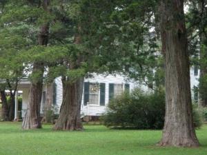 Approaching Rowan Oak from Bailey's Woods