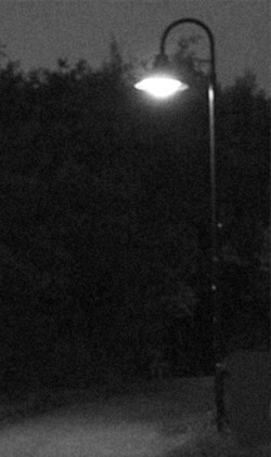 The Estates at Vineyard Glen